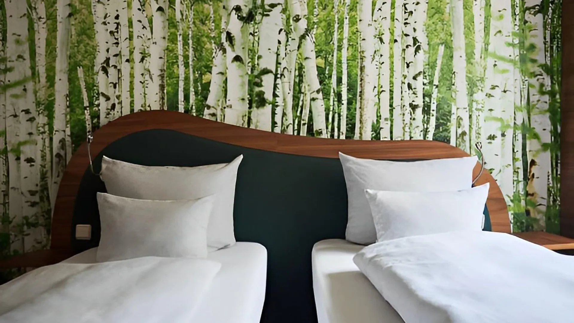 Hotel Cocoon Stachus Múnich